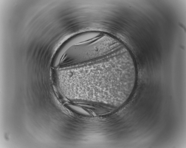 X0000098150934200805151201