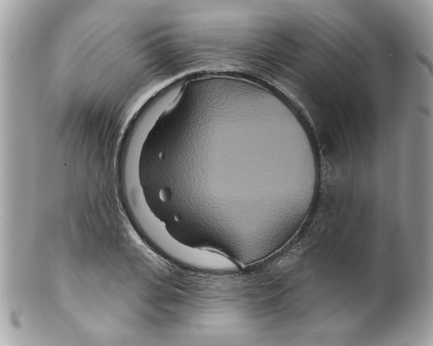 X0000098150935200805151201