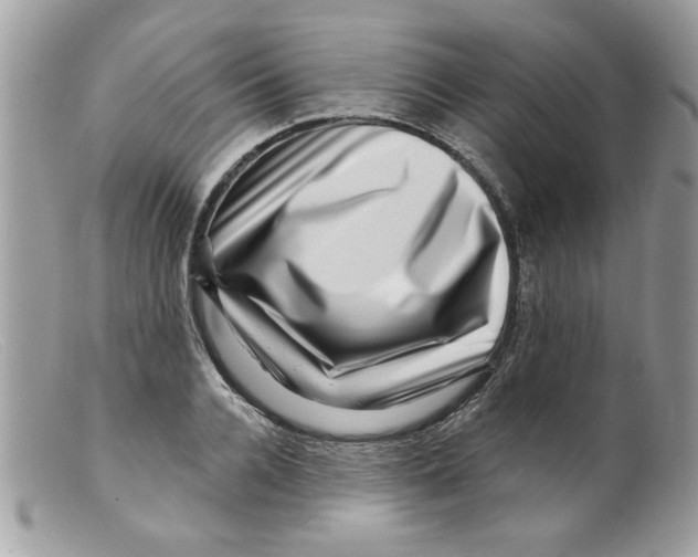 X0000098150936200805151201