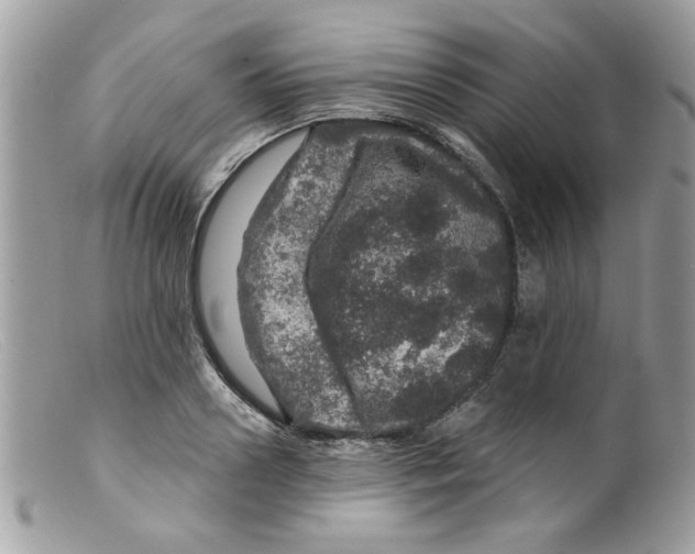 X0000098150938200805151201