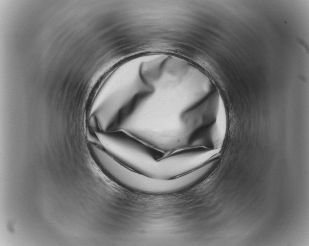 X0000098150939200805151201