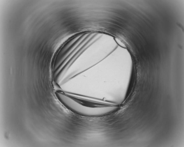 X0000098150940200805151201