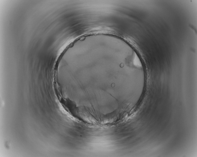 X0000098150941200805151201