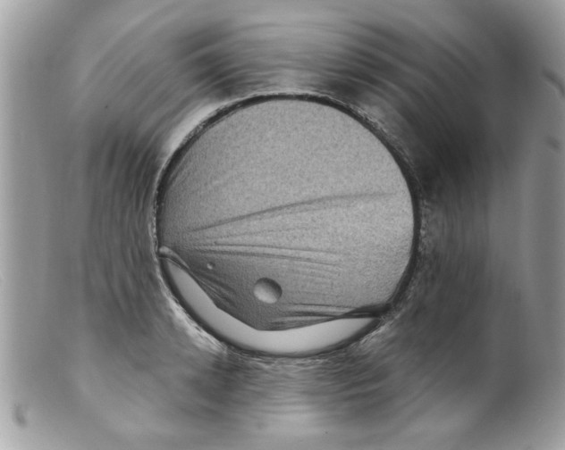 X0000098150942200805151201