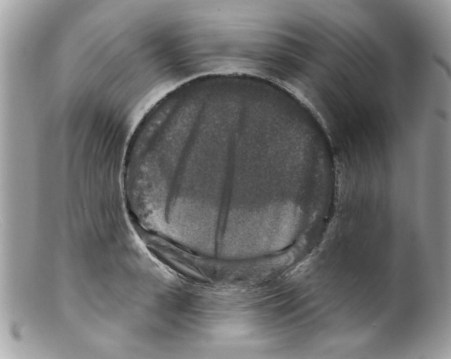 X0000098150943200805151201