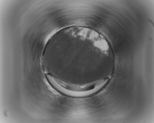 X0000098150944200805151201