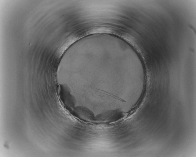 X0000098150945200805151201
