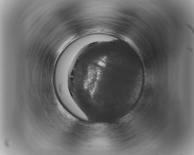 X0000098150946200805151202