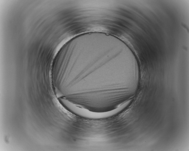 X0000098150947200805151202