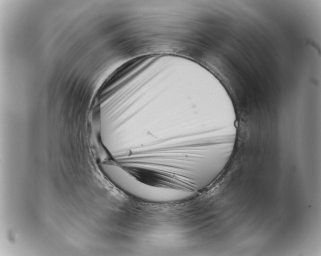 X0000098150948200805151202