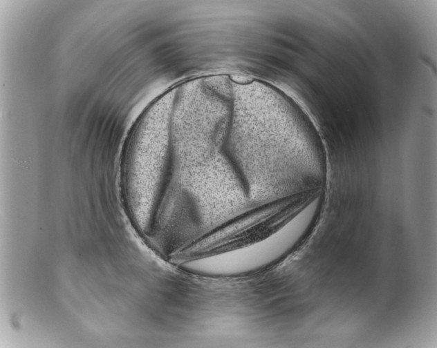 X0000098150949200805151202
