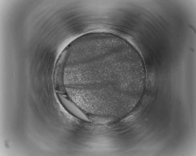 X0000098150951200805151202