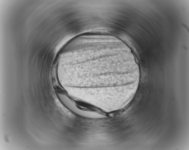 X0000098150952200805151202
