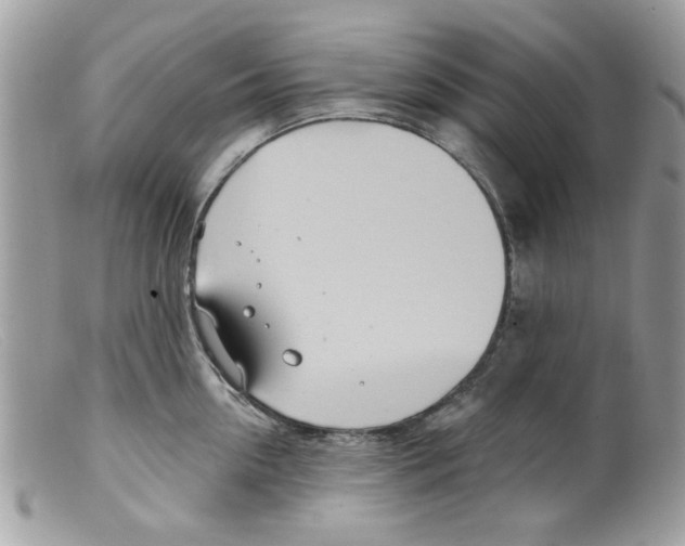 X0000098150954200805151202