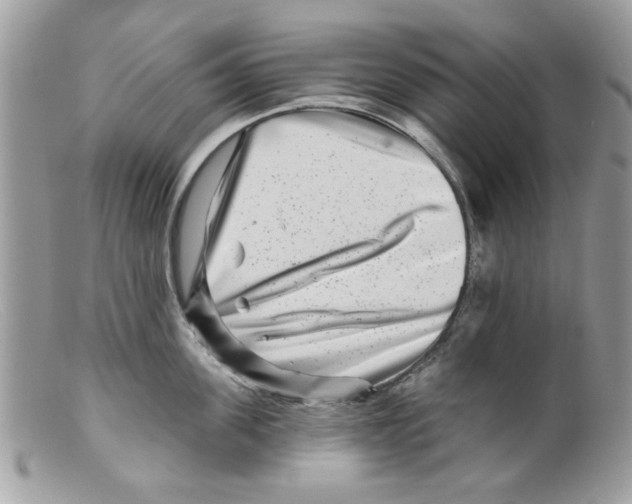 X0000098150955200805151202