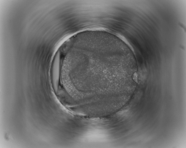 X0000098150959200805151202