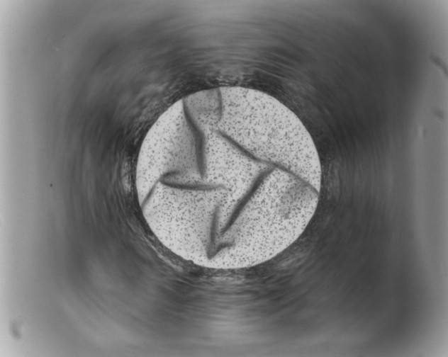 X0000098150962200805151201