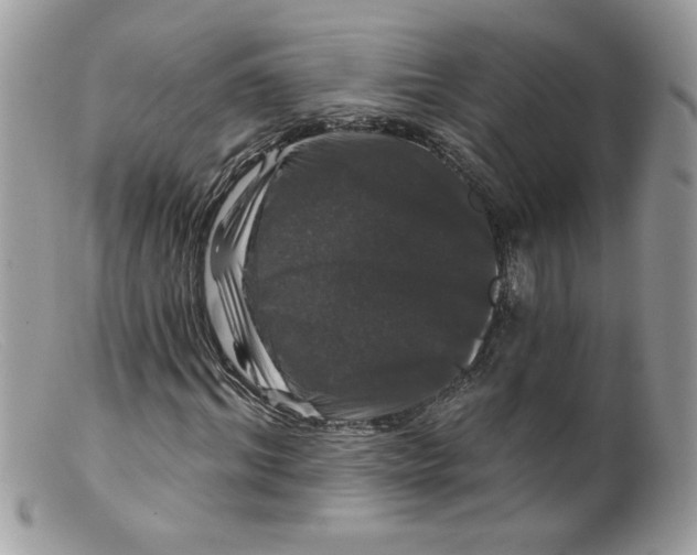 X0000098150964200805151201