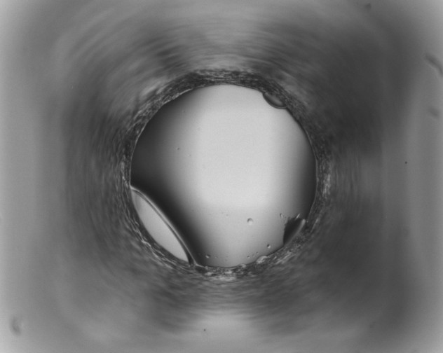 X0000098150965200805151201
