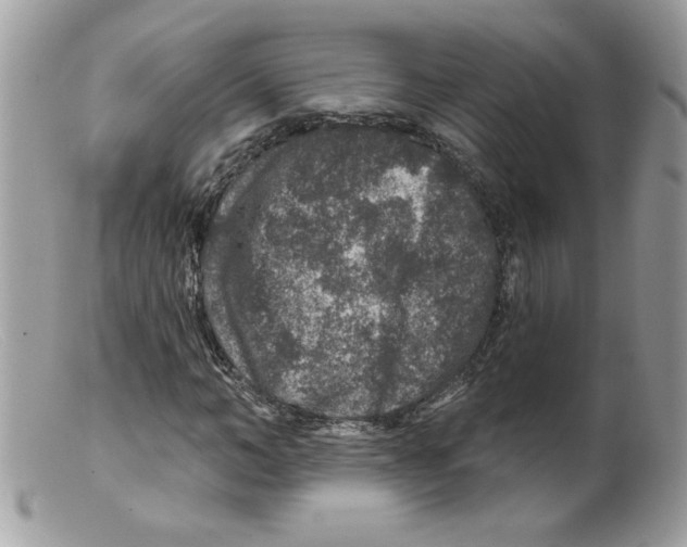 X0000098150966200805151201
