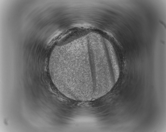 X0000098150967200805151201