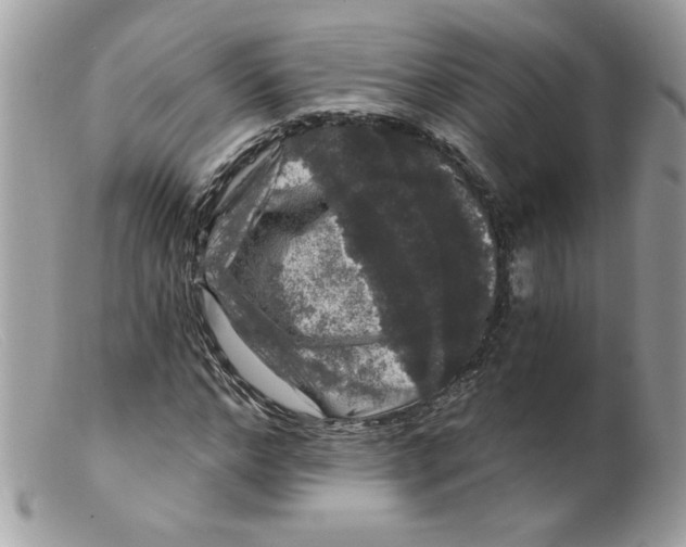 X0000098150968200805151201