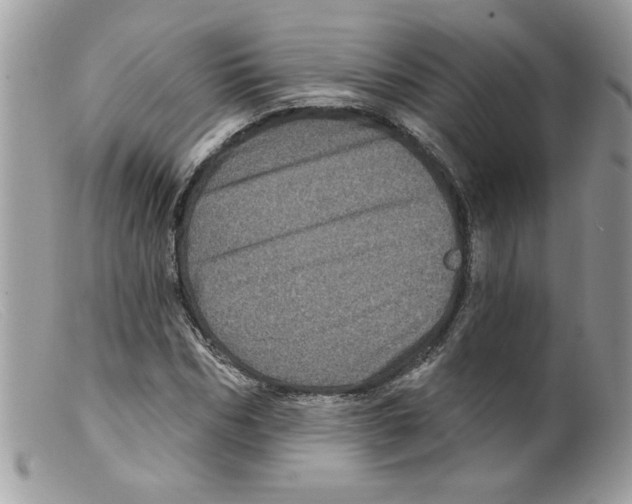 X0000098150970200805151201