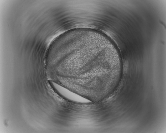 X0000098150971200805151201