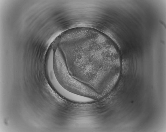 X0000098150972200805151201