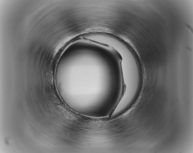 X0000098150973200805151201