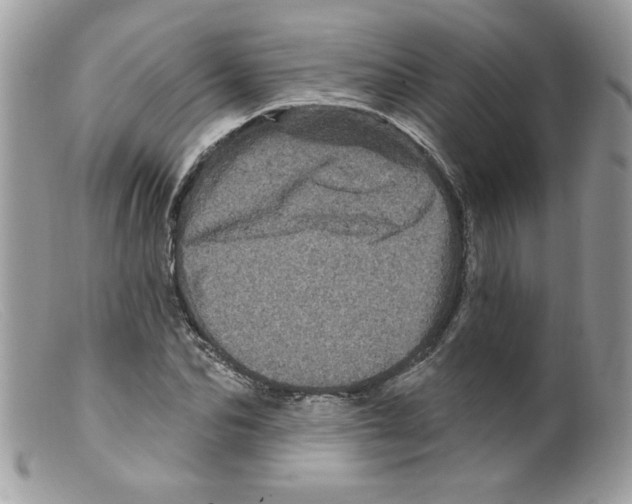 X0000098150974200805151201