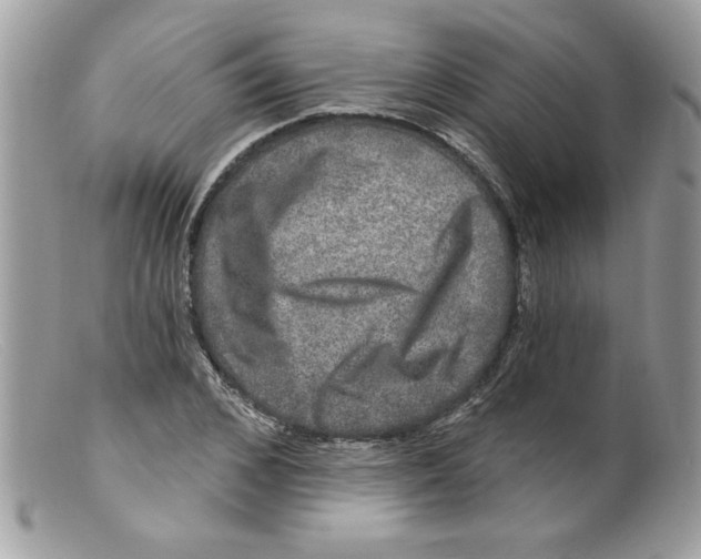 X0000098150976200805151201