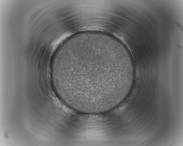 X0000098150979200805151201
