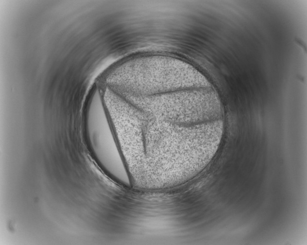 X0000098150982200805151201