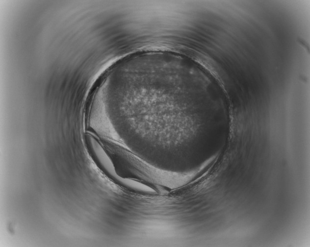 X0000098150984200805151201