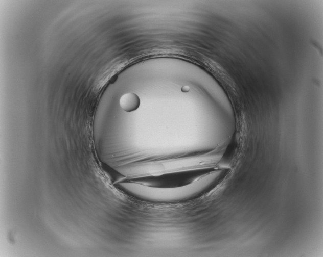 X0000098150985200805151201