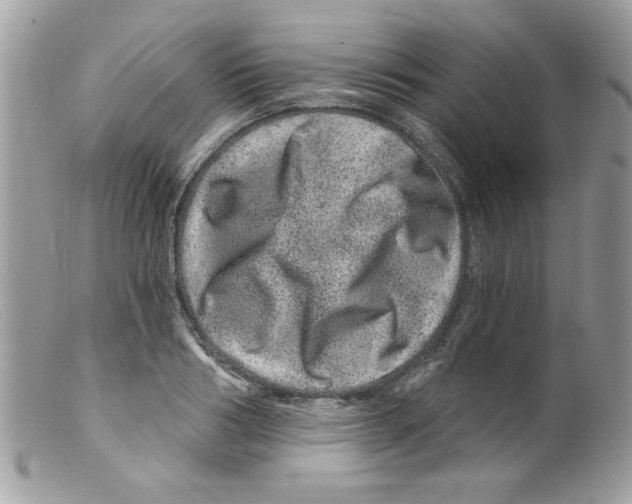 X0000098150986200805151201