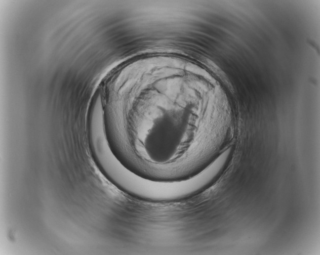 X0000098150988200805151201