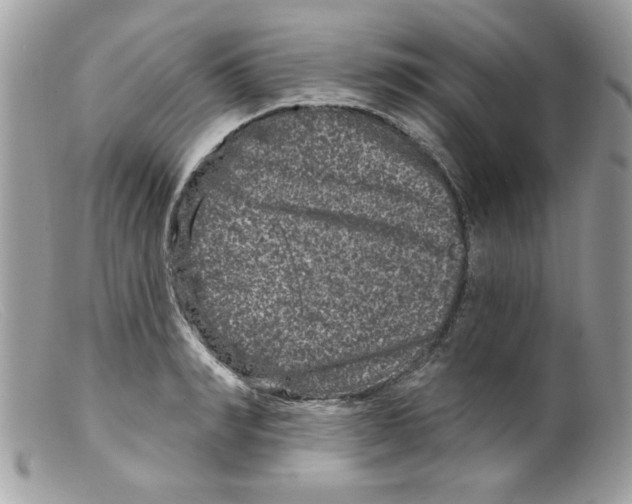 X0000098150990200805151201