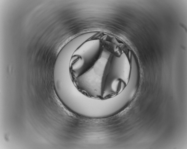 X0000098150993200805151201