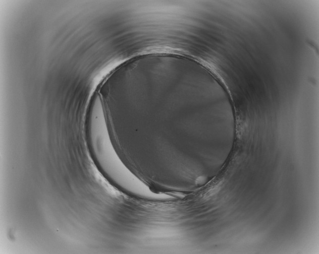 X0000098150995200805151200