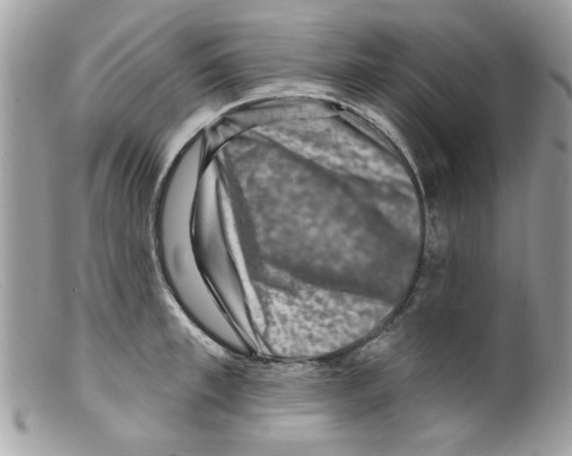 X0000098150997200805151200