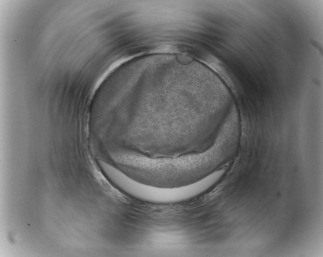 X0000098151000200805151200