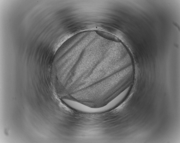 X0000098151001200805151200