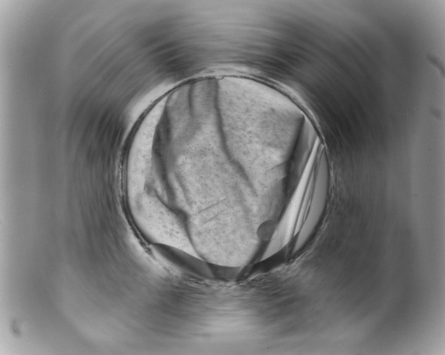 X0000098151003200805151200