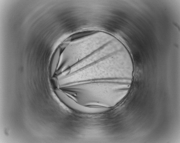 X0000098151005200805151200