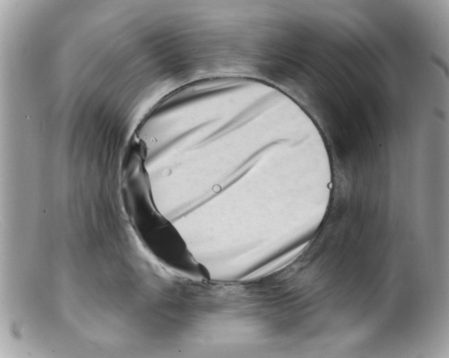 X0000098151006200805151200