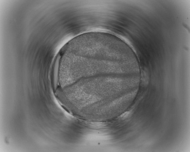 X0000098151007200805151200