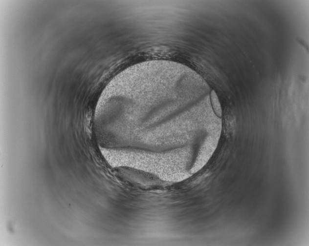 X0000098151010200805151159