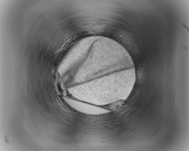 X0000098151012200805151159